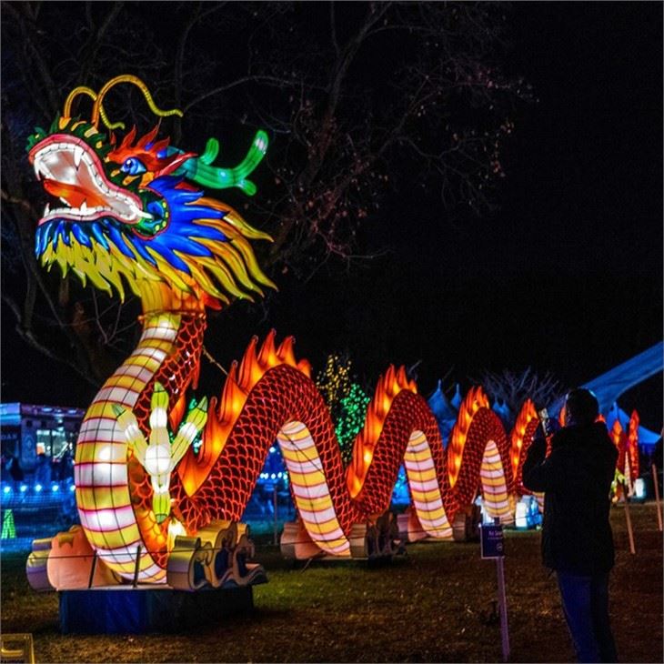 Outdoor Custom Big Size Dragon Lanterns